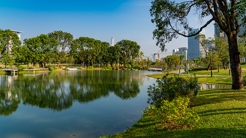 �������ʹ���-׷�󿵽�,����һ������