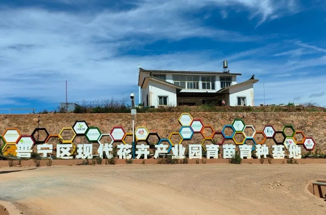 �������ʹ���-׷�󿵽�,����һ������