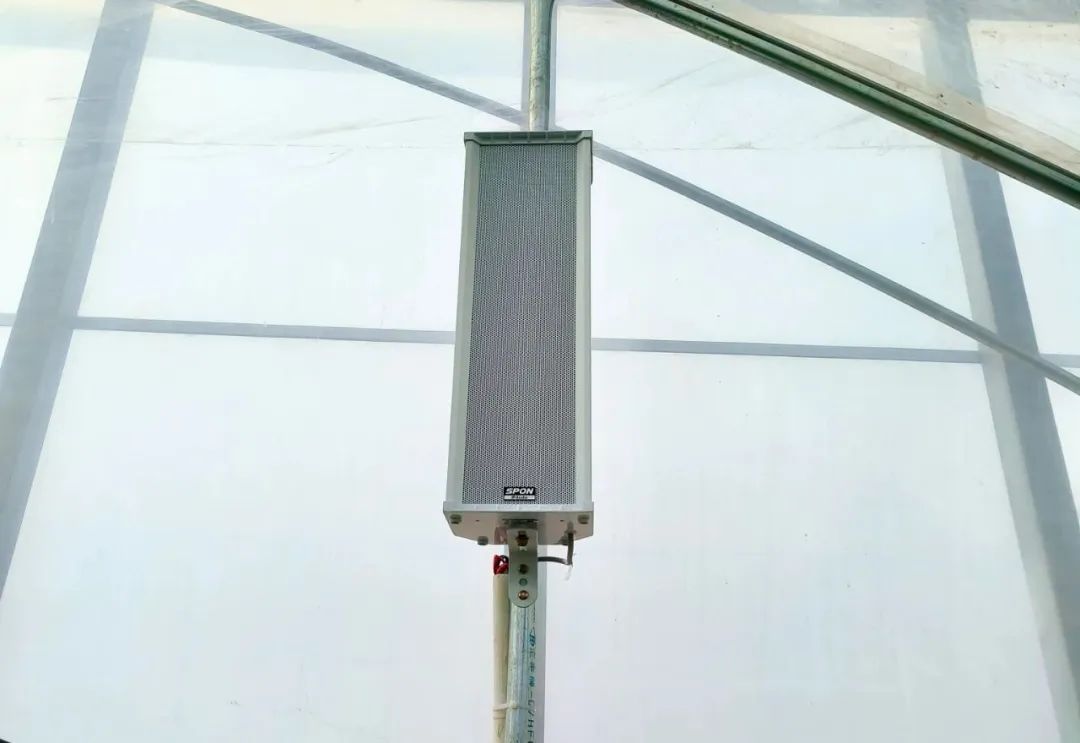 �������ʹ���-׷�󿵽�,����һ������