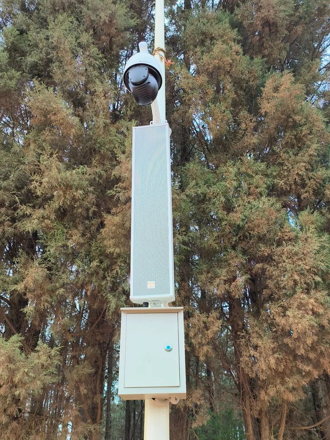 �������ʹ���-׷�󿵽�,����һ������