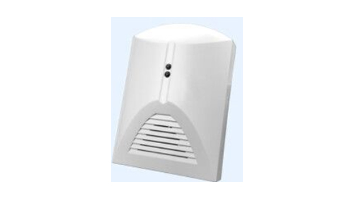 �������鱨��̽����