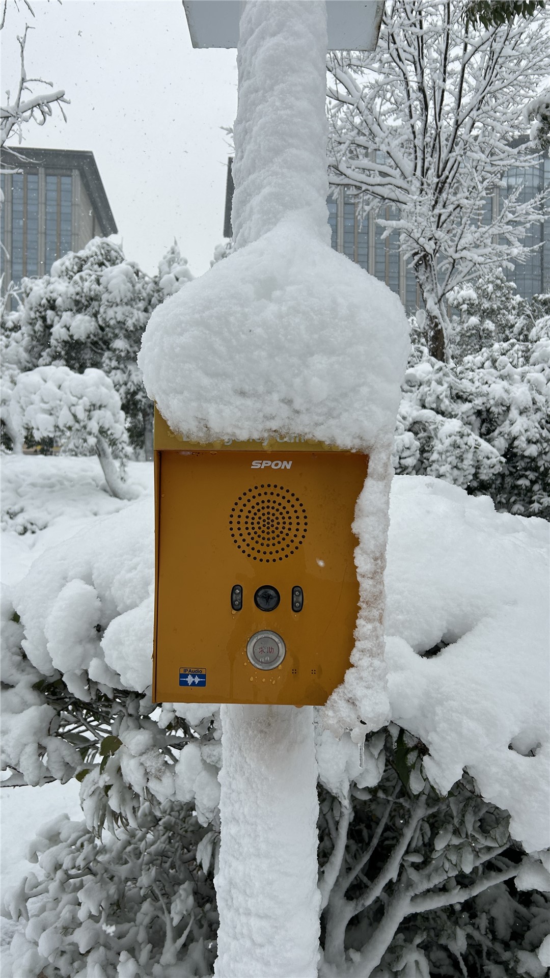 �������ʹ���-׷�󿵽�,����һ������