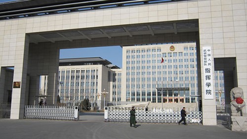 ָ������