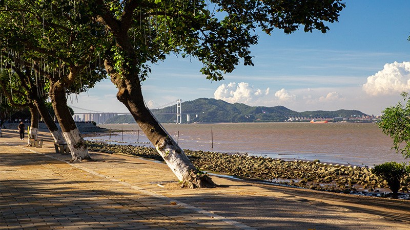 �㶫��ɳ������԰-���ɶ������ʹ����㲥ϵͳ