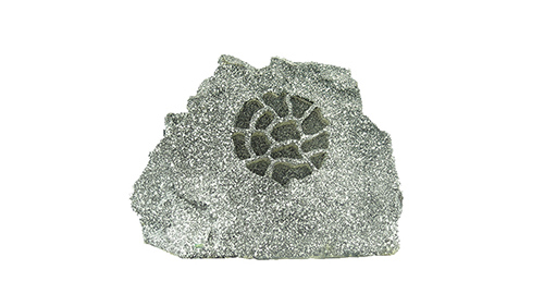 ��ƺ����